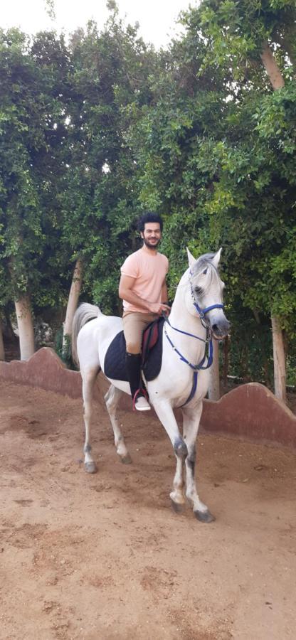 The Farm - Hotel & Horse Riding Каїр Екстер'єр фото