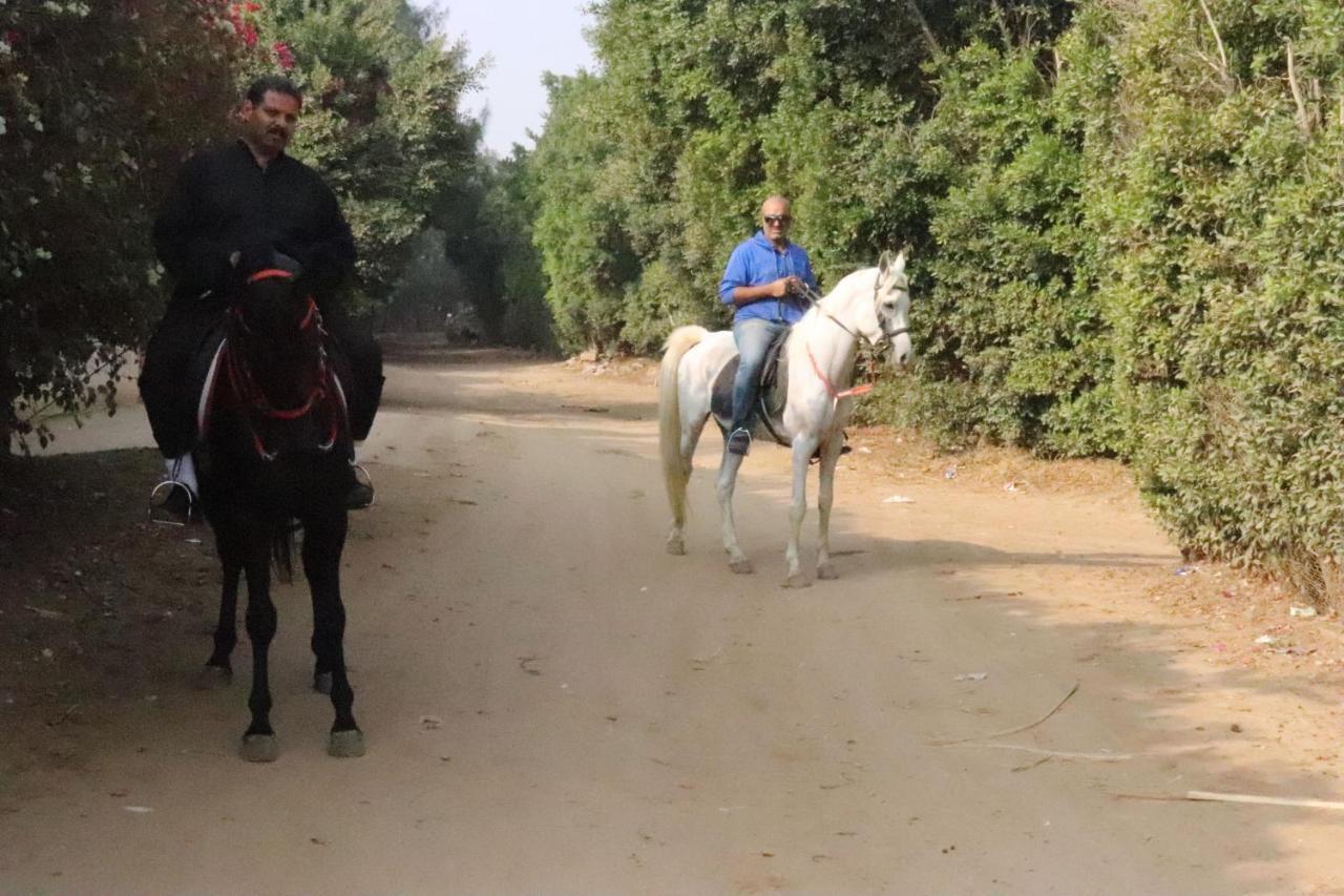 The Farm - Hotel & Horse Riding Каїр Екстер'єр фото