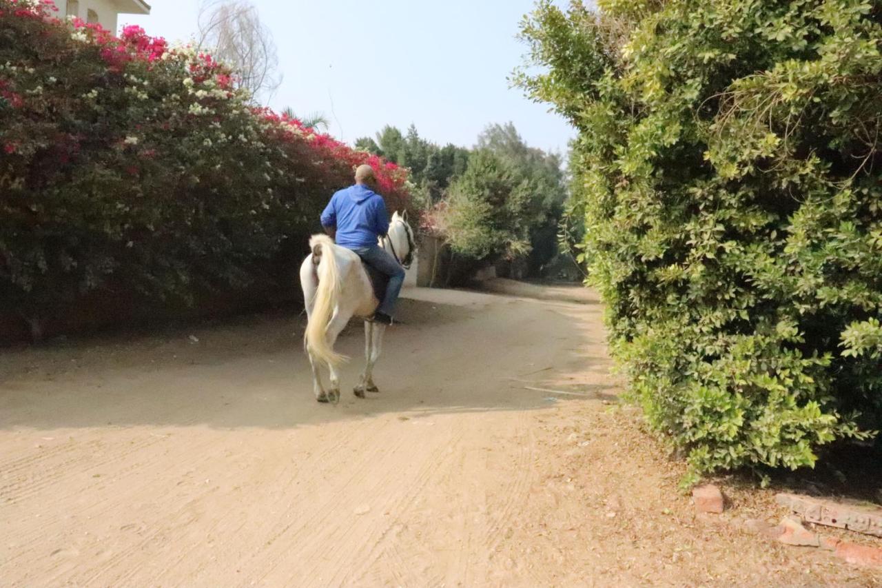 The Farm - Hotel & Horse Riding Каїр Екстер'єр фото